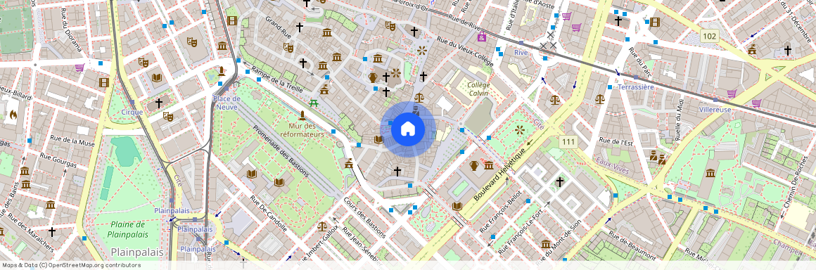 Rue Etienne-Dumont 2, 1204 Geneva