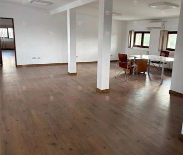 Spatiu spre inchiriere doar pentru FIRME Sos. Chitilei 413 - Photo 2