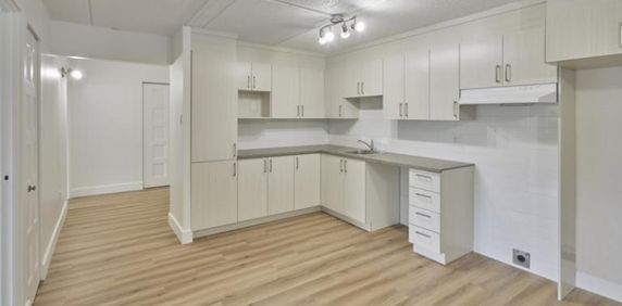 4 1/2 - Deux-Montagnes - 1 475 $/mois - Photo 2