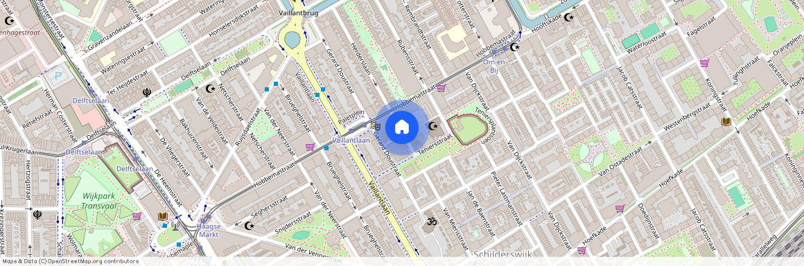 Schildersbuurt-Noord, 2526 NS, Van Mierisstraat, Den Haag