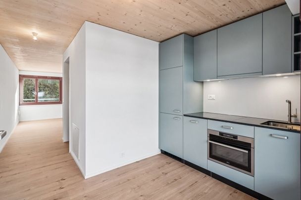 Your new home in the Stadtsägi - Photo 1