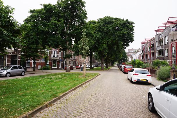 Warande - Photo 1