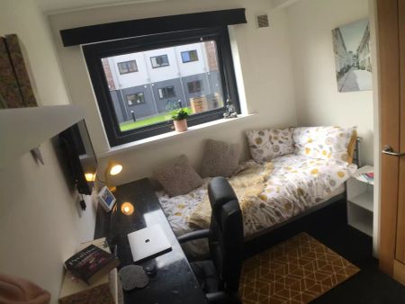 Standard Studio - Photo 5