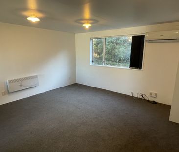 113B York Place - 2025, Dunedin Central, Dunedin City - Photo 3