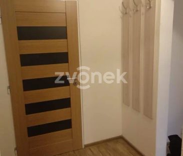 Pronájem bytu 2+1 s balkonem, Napajedla - Fotografie 6