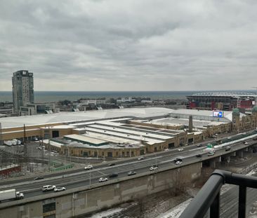For Lease - 49 East Liberty Street Unit# 1704, Toronto, Ontario - Photo 6