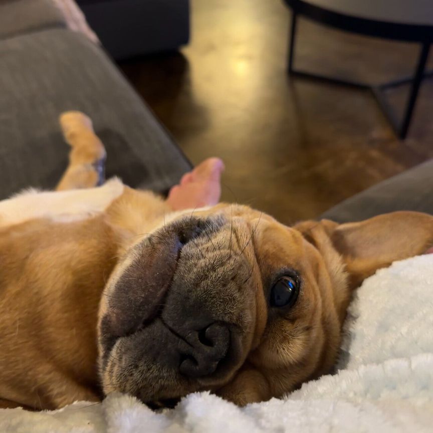 Victoria Park - Photo 1