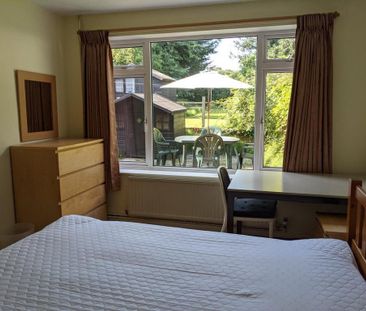 4 bedroom house share to rent - Photo 4