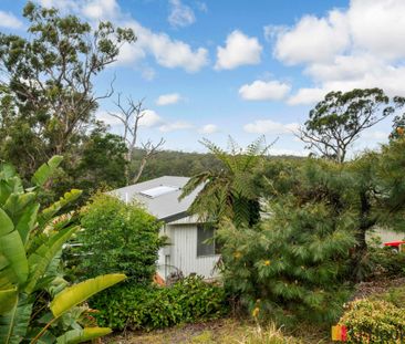 14 Nelligen Place, Nelligen NSW - Photo 6
