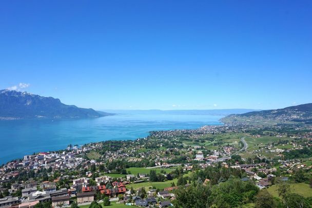 Beautiful 3.5p apartment in Montreux / Chamby - Photo 1
