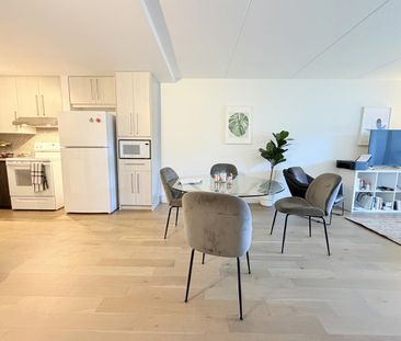France-Prime-Duchesneau 3 ½ Entièrement Meublé à Louer Sainte-Foy J... - Photo 2