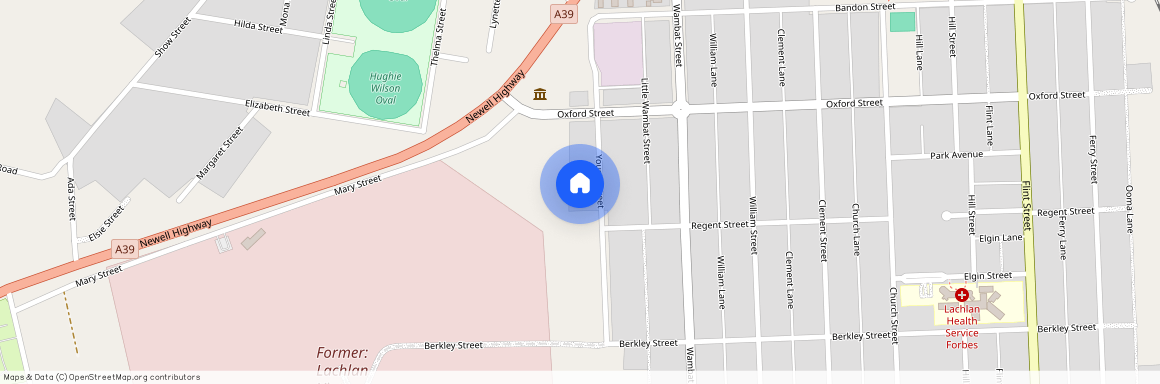 25 Young Street, Forbes 2871, New South Wales