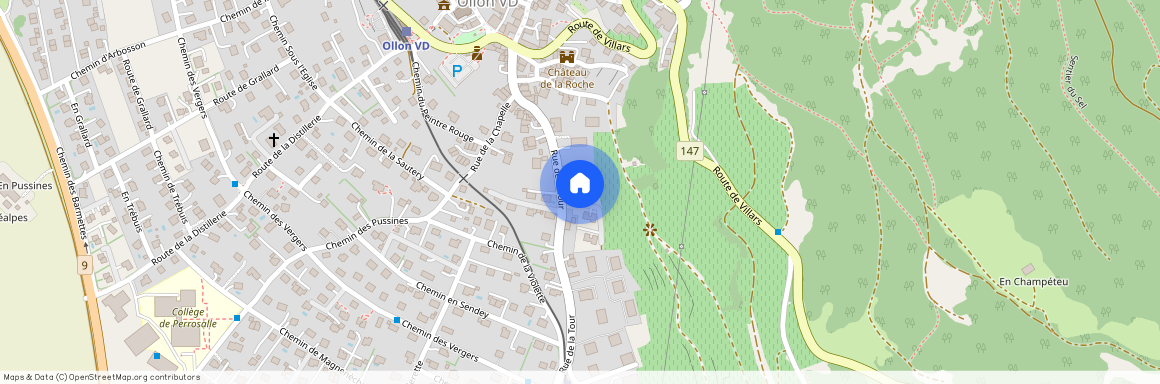 Rue de la Tour, 29, 1867 Ollon VD