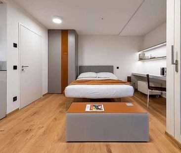 Rent furnished studio apartment stabio - Photo 1