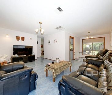 Not to be Missed! - Photo 2