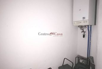 Grazioso tricolare in contesto di corte.