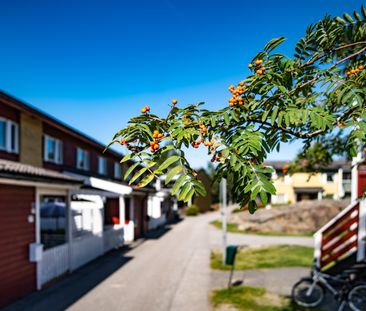 Hagtornsvägen 141 - Photo 2