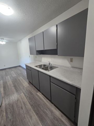 Spacious Two Bedroom unit on South Hill - Photo 2