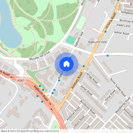 Aigburth Vale, Sefton Park, Liverpool, L17