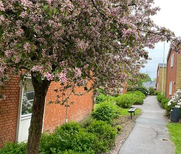 Villaparken 15 st., 7800, Skive - Photo 4