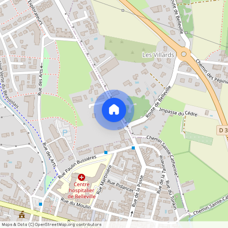 AUVERGNE-RHÔNE-ALPES, RHONE (69), 69220, Belleville