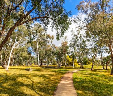 Light filled three bedroom apartment - Photo 2