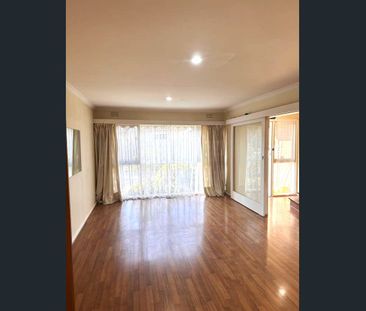 Prime Balwyn High School Zone--Invest in your child's future! - Photo 1