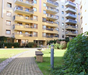 Wynajmę dużą kawalerkę typu studio, Ursynów, Metro - Zdjęcie 4