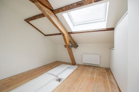 Volledig gerenoveerd duplexappartement in hartje Antwerpen - Foto 4