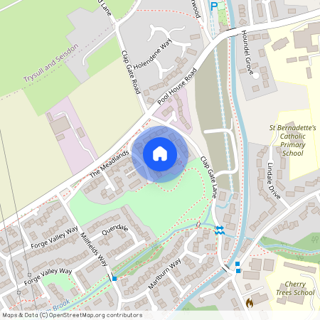 WOMBOURNE, The Celandines