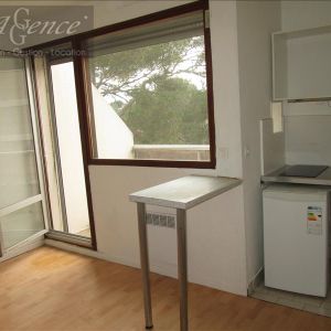 Location Appartement 1 pièce 20m² - Photo 2