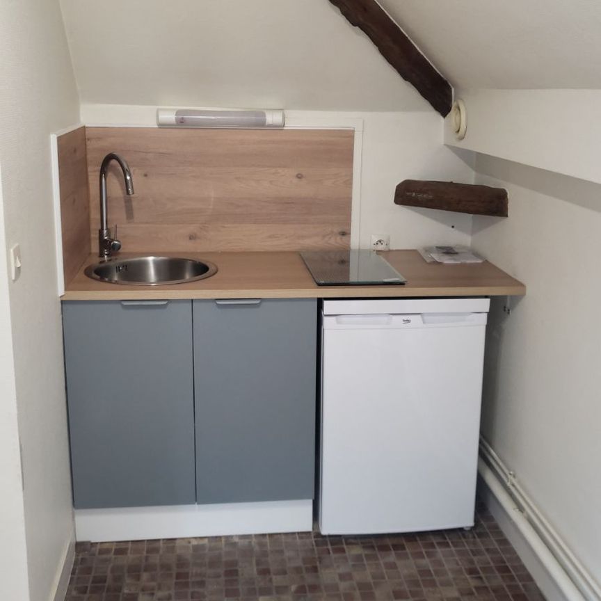 Location Appartement 1 pièce 17m² ST JEAN LE BLANC 45650 - Photo 1