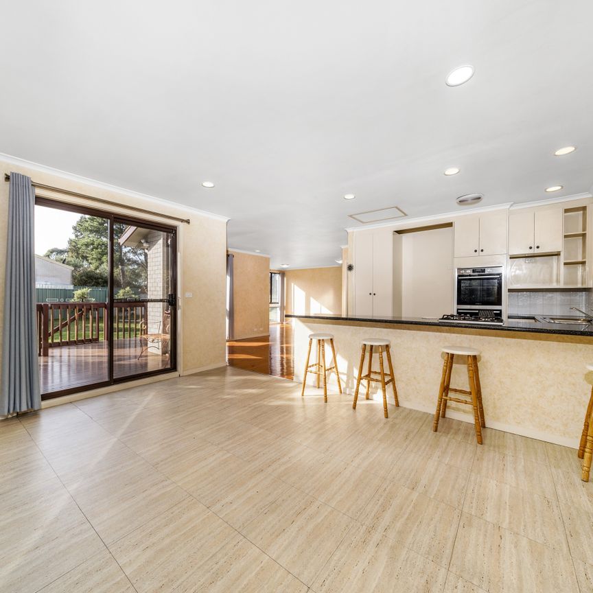 Sunny & North Facing in Central Location - Photo 1