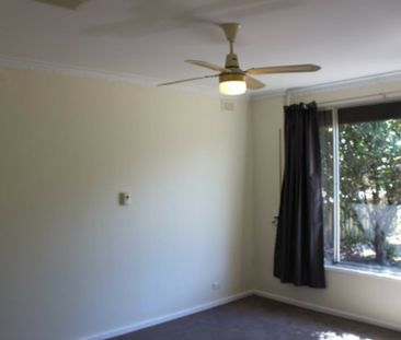 Tastefully Renovated 3-Bedroom Home with Great Outdoor Entertaining - Photo 3