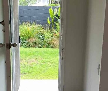 Recently renovated Mt Eden Studio - Photo 5