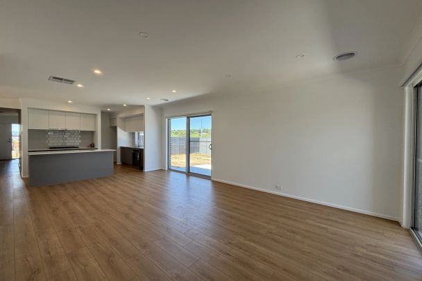 Stunning & Brand New - Photo 1