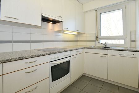 "Greifensee zum Greifen nahe!" - Photo 3