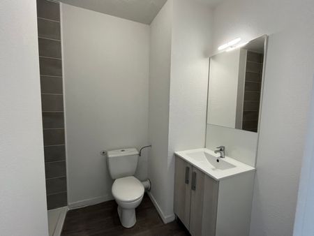 Location Appartement 1 pièce 19m² AUZEVILLE TOLOSANE 31320 - Photo 5