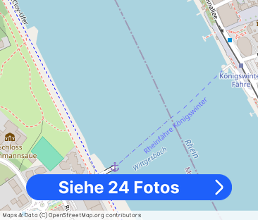 Wohnung mit Panoramablick auf den Rhein - Foto 1