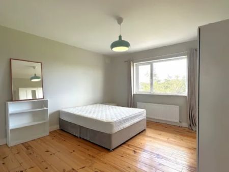 Lavallyconor, Ardrahan, Co Galway, H91 EDY7 - Photo 3