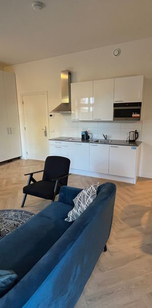 Exchange student housing // Jan – June PREMIUM! - Photo 1