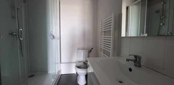 Location Appartement 1 pièce 20m² - Photo 2