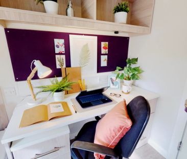 Gold Studio Plus - Photo 6