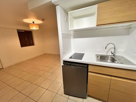 Location Appartement 1 pièce 25m² ST MARTIN D HERES 38400 - Photo 2