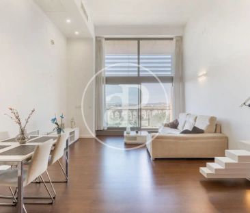 Loft de alquiler en C/ de la Creu Roja, Vara de Quart - Photo 4