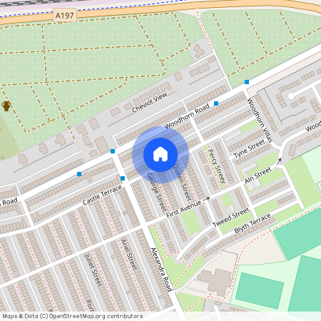 Castle Terrace, Ashington, Ashington, Northumberland, NE63 9JH