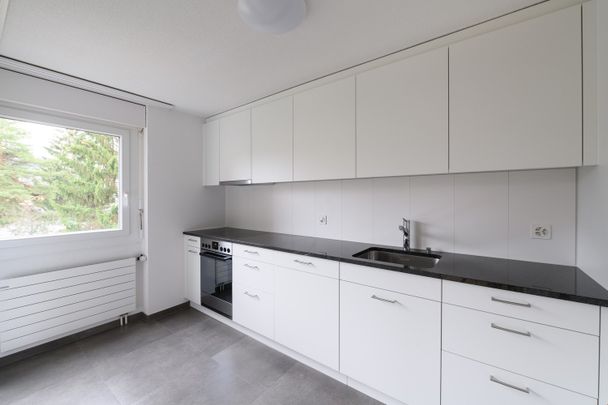 grosse 3.5-Zimmerwohnung mit zusätzlicher Galerie und eigener Waschküche - Photo 1