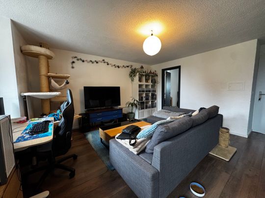 Nice 2.5 room apartment with terrace - Photo 1