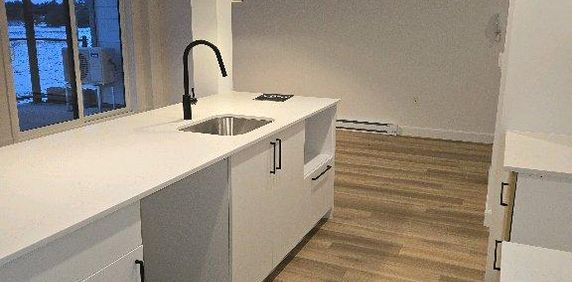 4 1/2 animaux acceptés - Photo 2