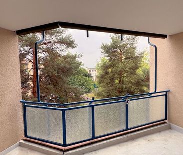 Frisch renovierte, großzügige 3-Zimmerwohnung auf dem Brüser Berg - Photo 6